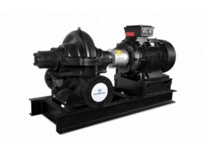 Grundfos LS Pumps in Pune
